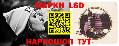 СК Абакан