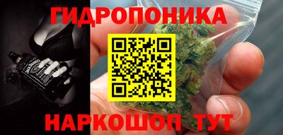 СК Абакан
