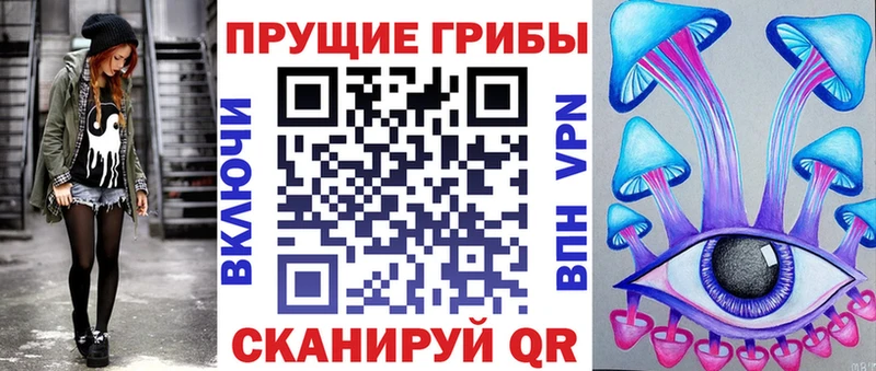 как найти закладки  Апшеронск  blacksprut ссылка  Псилоцибиновые грибы Psilocybine cubensis 